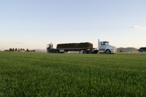 Sod delivery truck in Logan, Utah