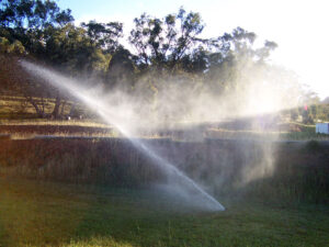 watering new sod in Bear Lake